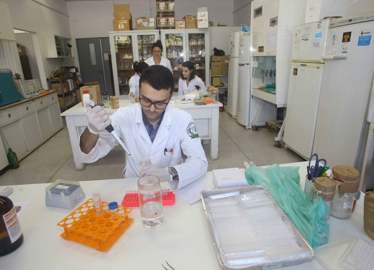 Universidades estaduais do Paraná conquistam nota máxima no Enade